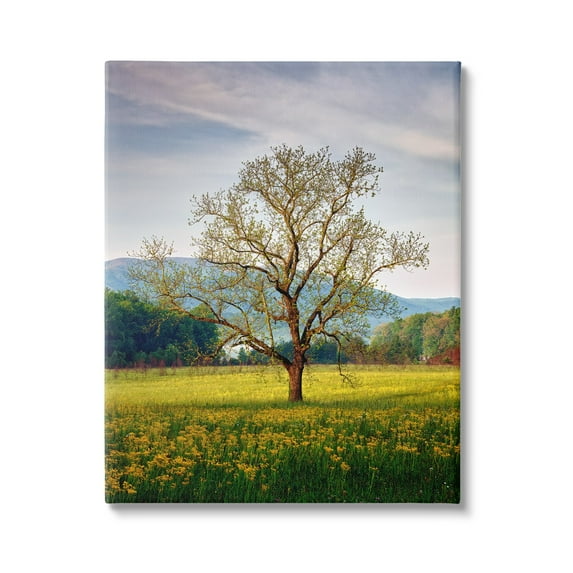 Stupell Lone Tree Wildflower Meadow Landscape Photography Gallery Wrapped Canvas Print Wall Art