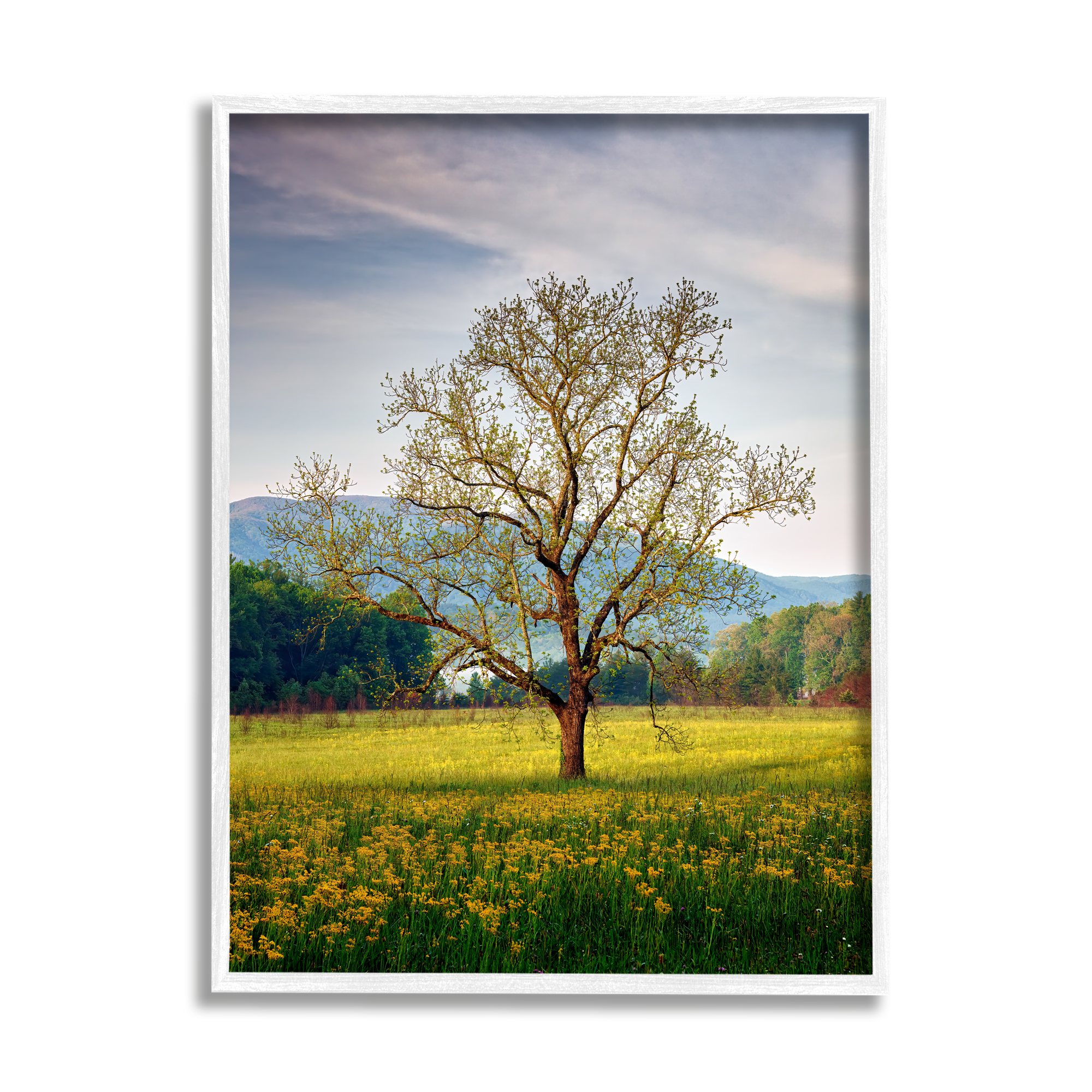 Stupell Lone Tree Wildflower Meadow Landscape Photography White Framed Art Print Wall Art