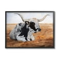 thumbnail image 1 of Stupell Longhorn Cattle Prairie Portrait Animals & Insects Painting Black Framed Art Print Wall Art, 1 of 7