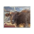 thumbnail image 1 of Stupell Longhorn Cattle Rural Mountains Animals & Insects Painting Gallery Wrapped Canvas Print Wall Art, 1 of 5