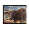 thumbnail image 1 of Stupell Longhorn Cattle Rural Mountains Animals & Insects Painting Gray Floater Framed Art Print Wall Art, 1 of 6