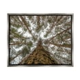 thumbnail image 1 of Stupell Looming Tree Branches Overhead Landscape Photography Gray Floater Framed Art Print Wall Art, 1 of 6