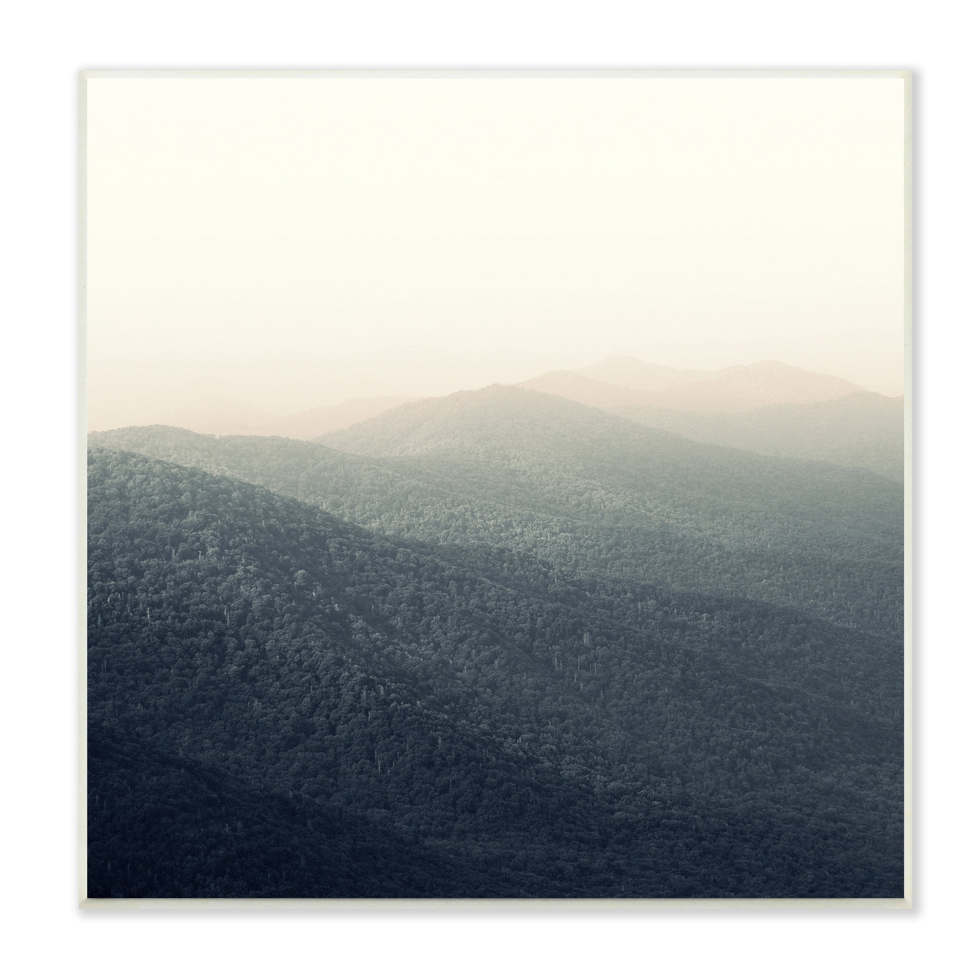 Stupell Lush Summertime Mountains Misty Grassland Photography Wood Wall Art - Blue