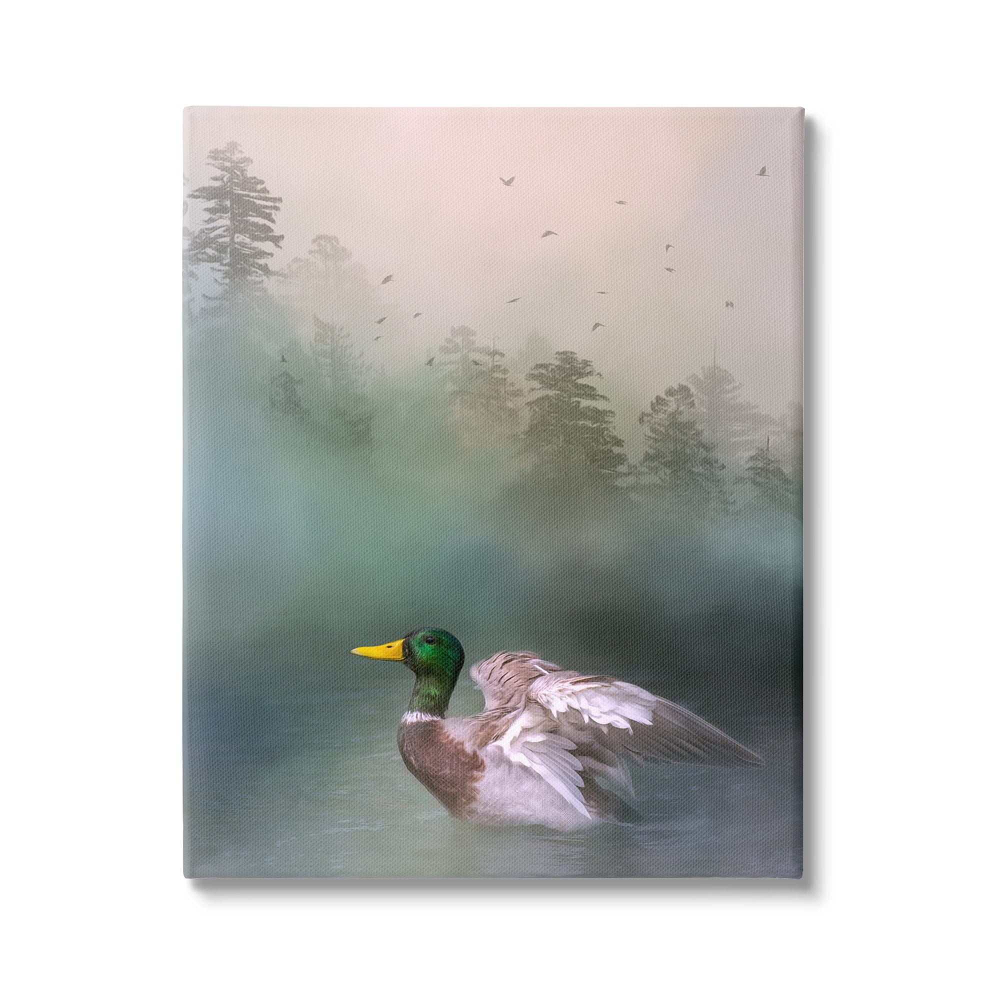 Stupell Mallard Duck Swimming Woodland Lake Animals & Insects Photography Gallery Wrapped Canvas Print Wall Art