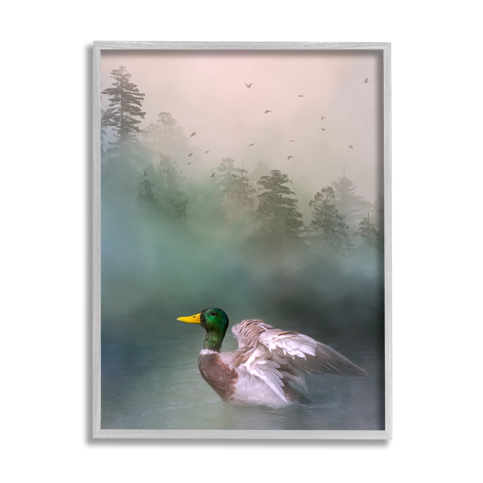 Stupell Mallard Duck Swimming Woodland Lake Animals & Insects Photography Gray Framed Art Print Wall Art