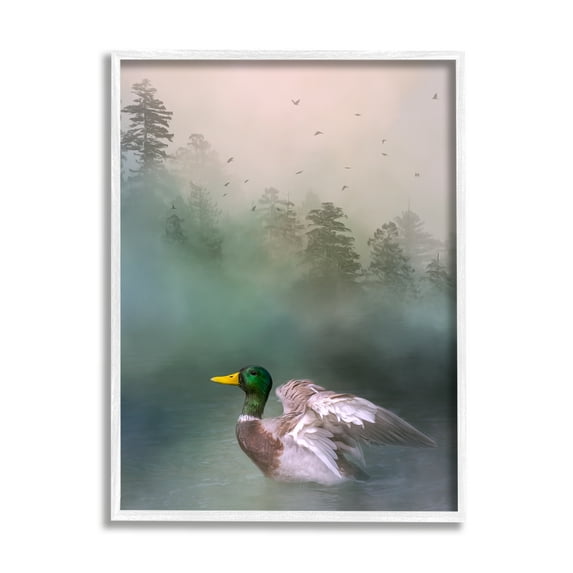 Stupell Mallard Duck Swimming Woodland Lake Animals & Insects Photography White Framed Art Print Wall Art