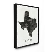 Stupell Marbled Paper Texas State Silhouette Canvas Art, 16 x 20