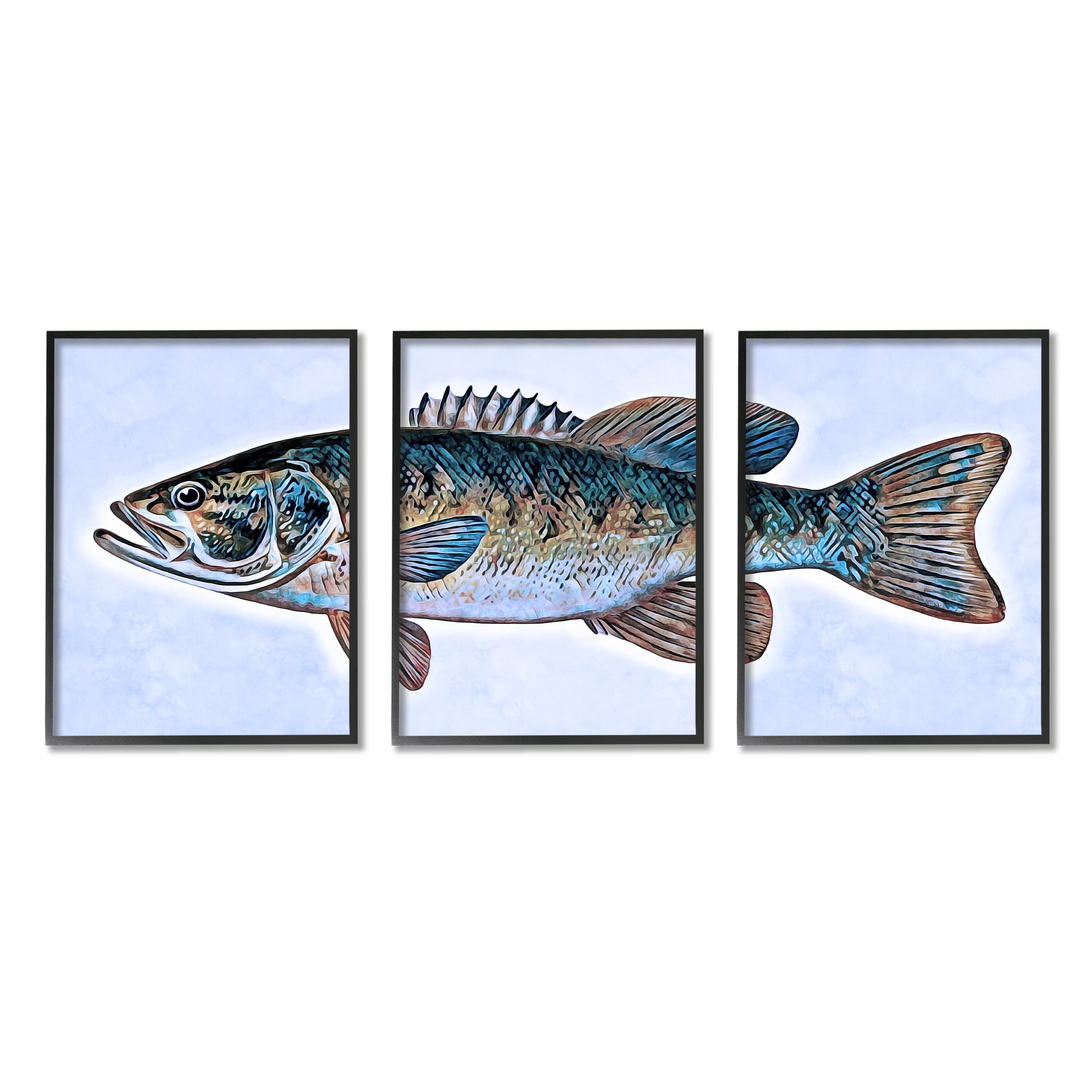 Stupell Marine Bass Fisherman Sea Life Animals & Insects Painting Black Framed Art Print Wall Art, Set of 3