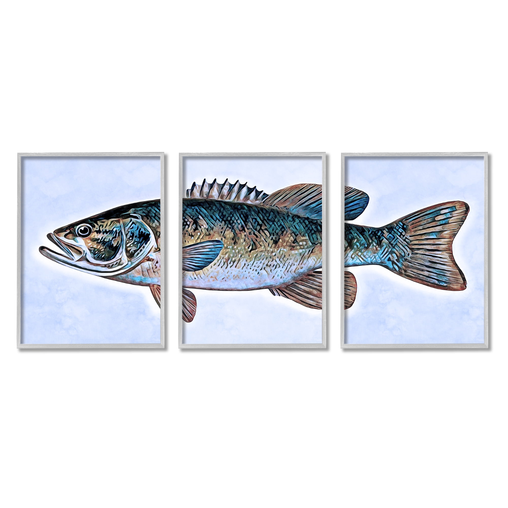 Stupell Marine Bass Fisherman Sea Life Animals & Insects Painting Gray Framed Art Print Wall Art, Set of 3