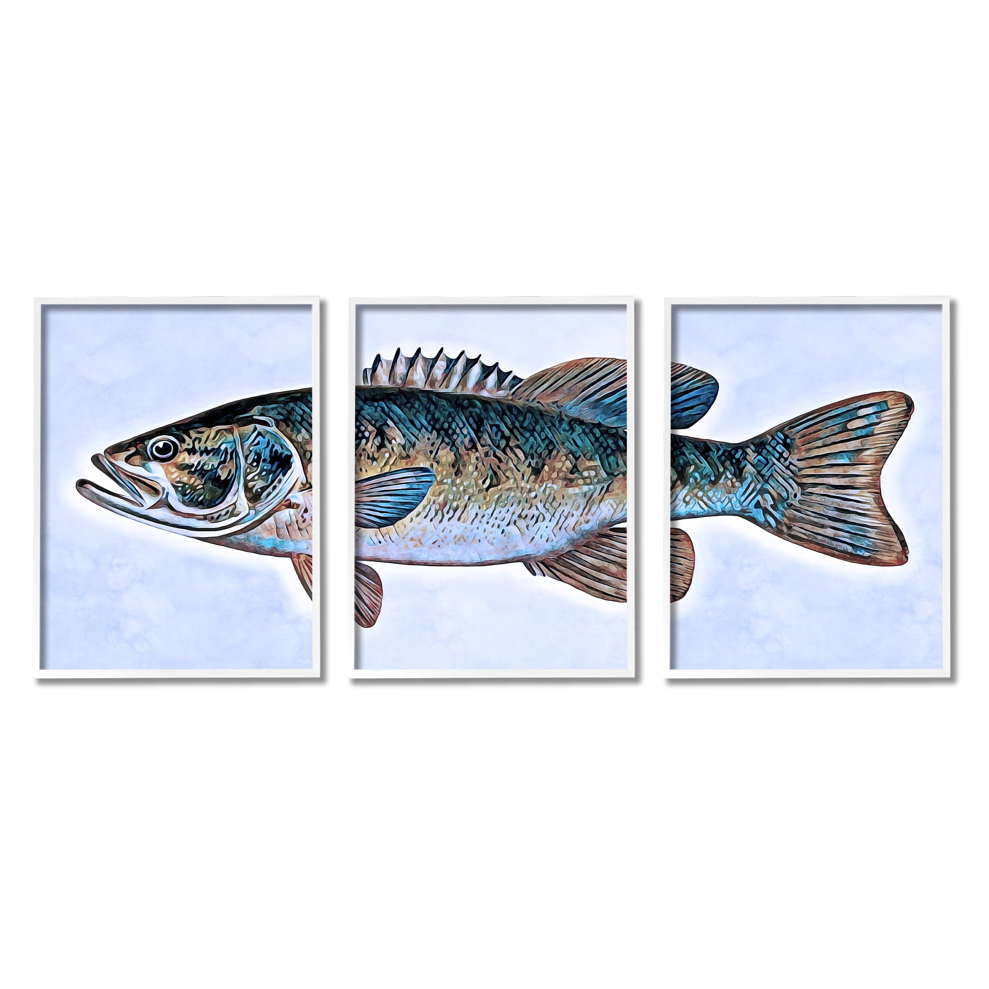 Stupell Marine Bass Fisherman Sea Life Animals & Insects Painting White Framed Art Print Wall Art, Set of 3