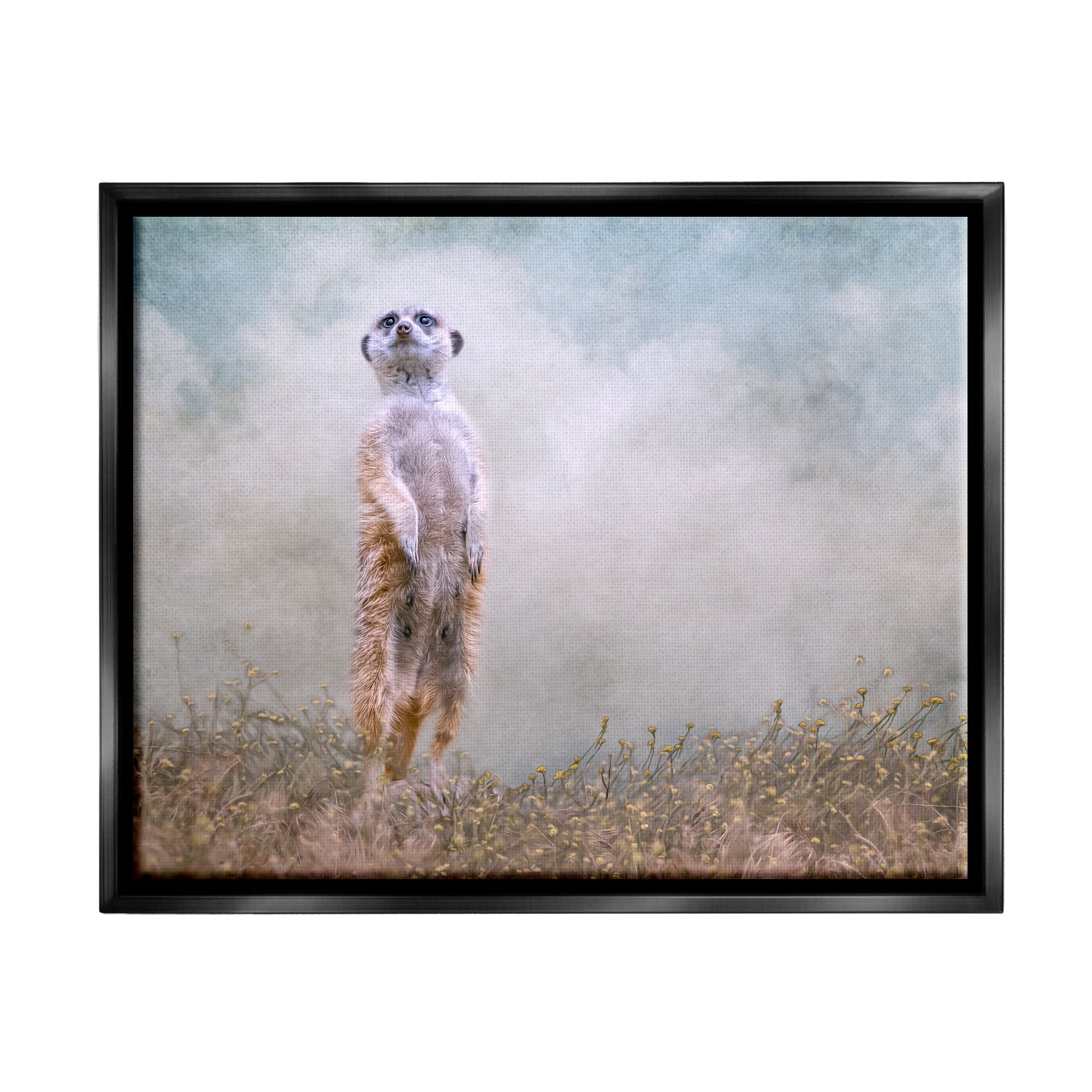 Stupell Meerkat Watching Prairie Nature Animals & Insects Photography Black Floater Framed Art Print Wall Art