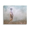 thumbnail image 1 of Stupell Meerkat Watching Prairie Nature Animals & Insects Photography Gallery Wrapped Canvas Print Wall Art, 1 of 5