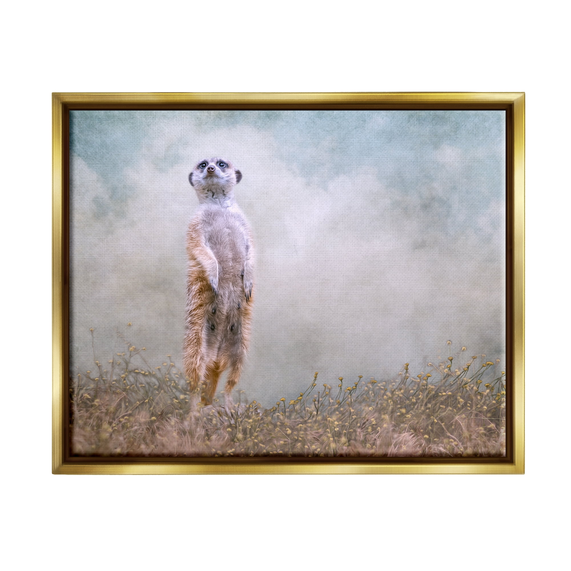Stupell Meerkat Watching Prairie Nature Animals & Insects Photography Gold Floater Framed Art Print Wall Art