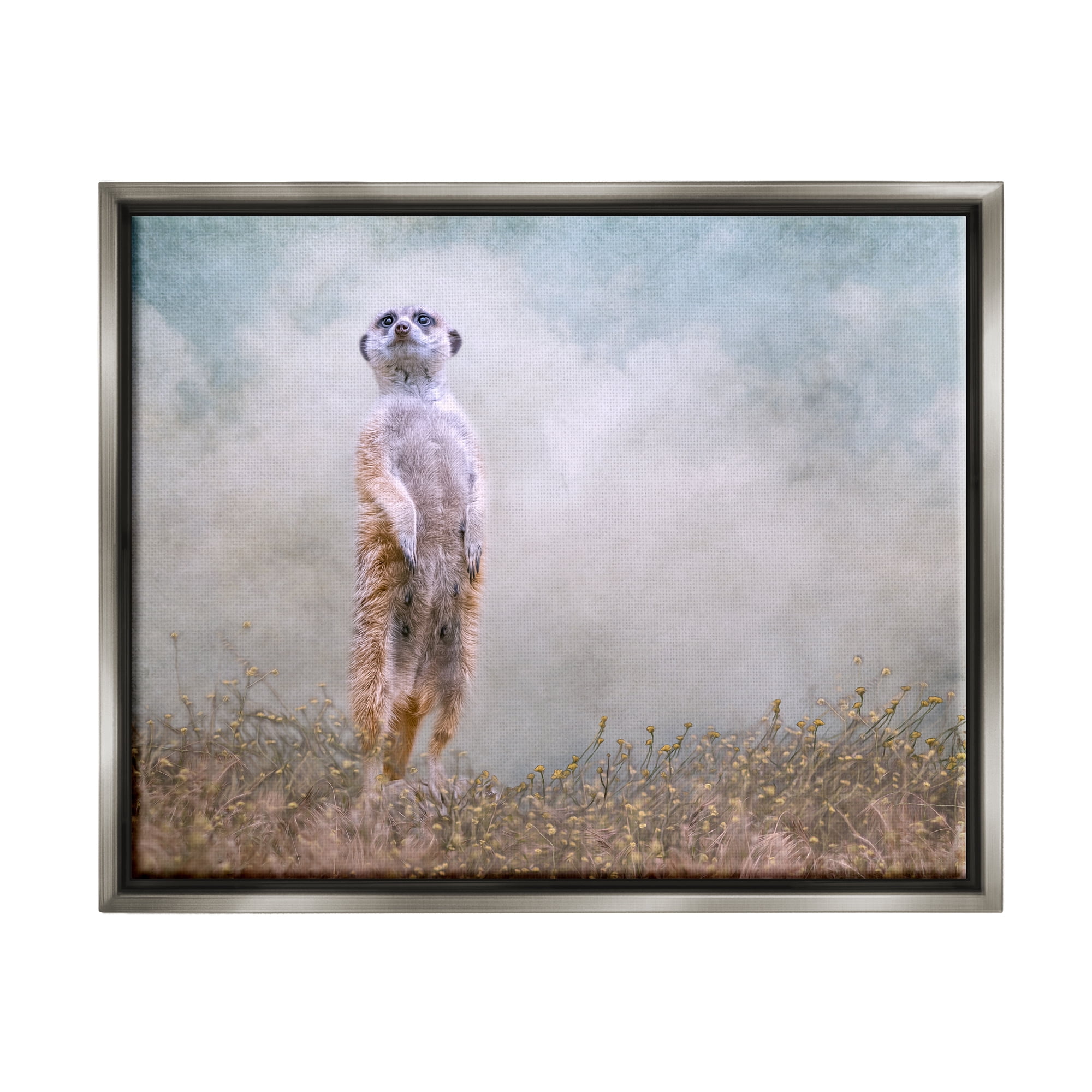 Stupell Meerkat Watching Prairie Nature Animals & Insects Photography Gray Floater Framed Art Print Wall Art