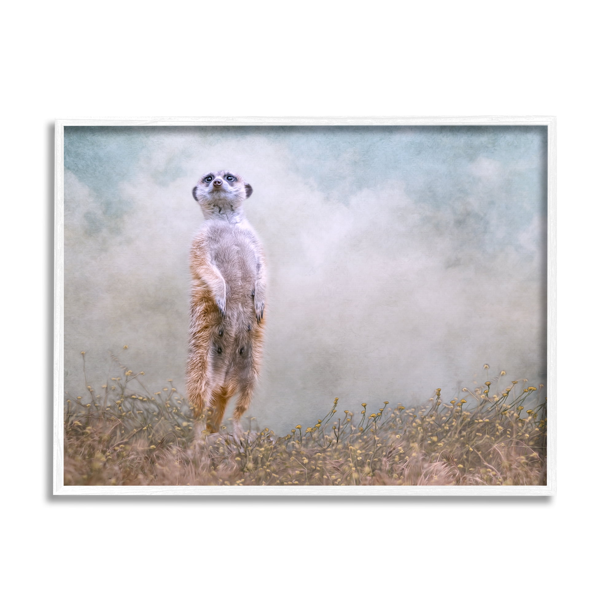 Stupell Meerkat Watching Prairie Nature Animals & Insects Photography White Framed Art Print Wall Art