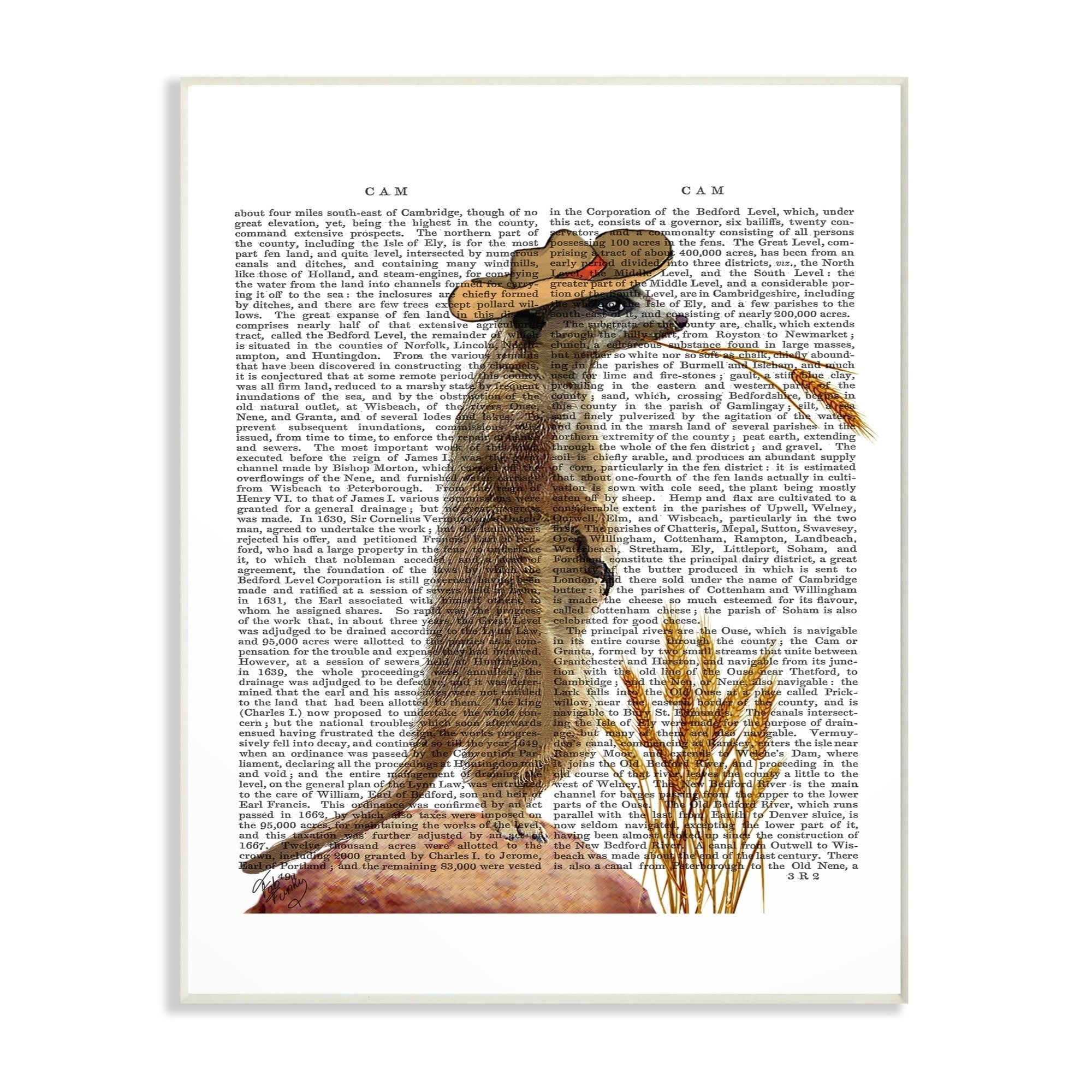 Stupell Meerkat in a Cowboy Hat Book Page, Wall Plaque, 10 x 0.5 x 15, A 13 x 19