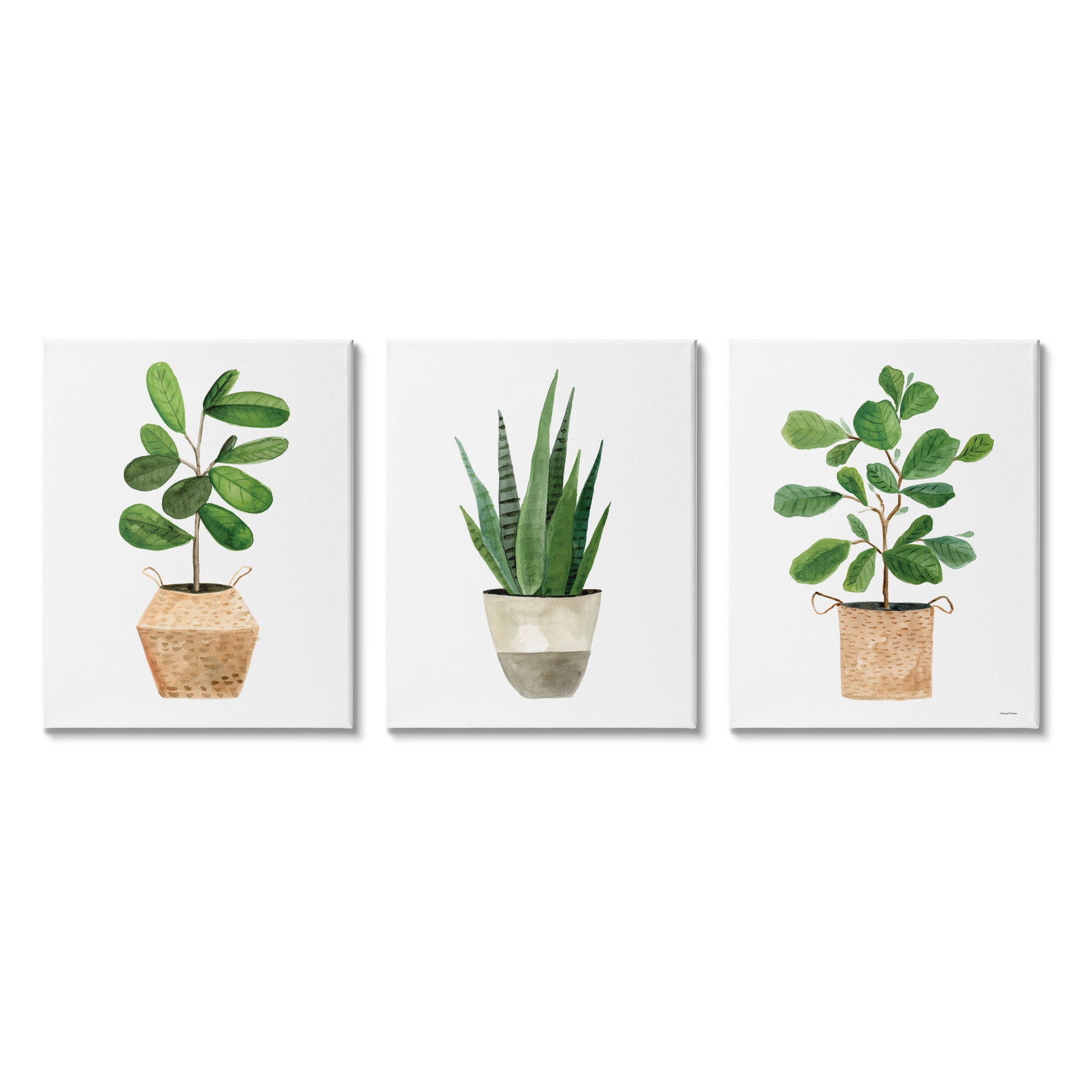 Minimalist Green Potted Plants Canvas Wall Art Set