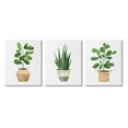 thumbnail image 1 of Stupell Minimal Potted Plants Botanicals Botanical & Floral Painting Gallery Wrapped Canvas Print Wall Art, Set of 3, 1 of 7
