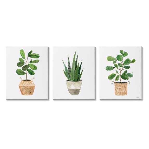 Stupell Minimal Potted Plants Botanicals Botanical & Floral Painting Gallery Wrapped Canvas Print Wall Art, Set of 3