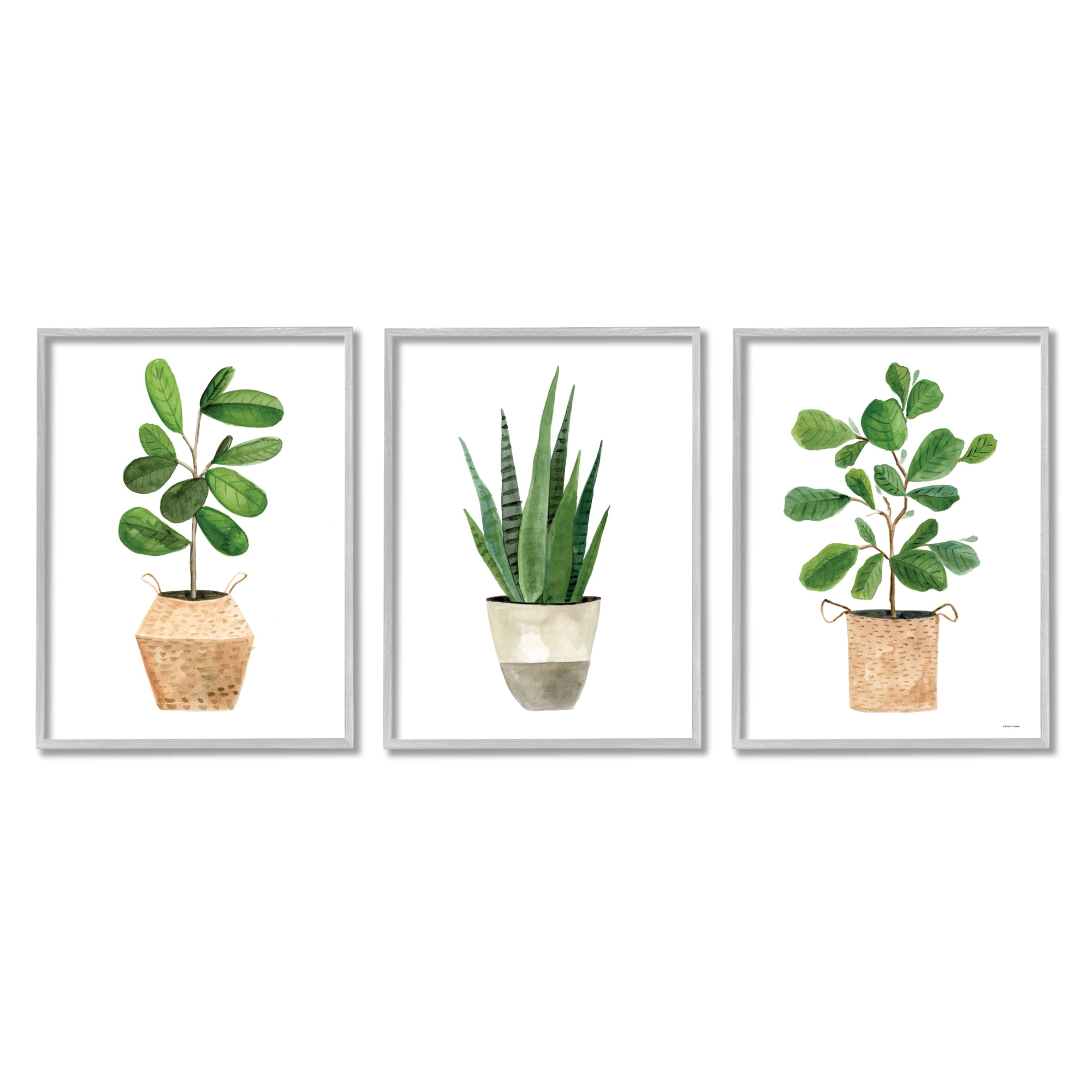 Stupell Minimal Potted Plants Botanicals Botanical & Floral Painting Gray Framed Art Print Wall Art, Set of 3