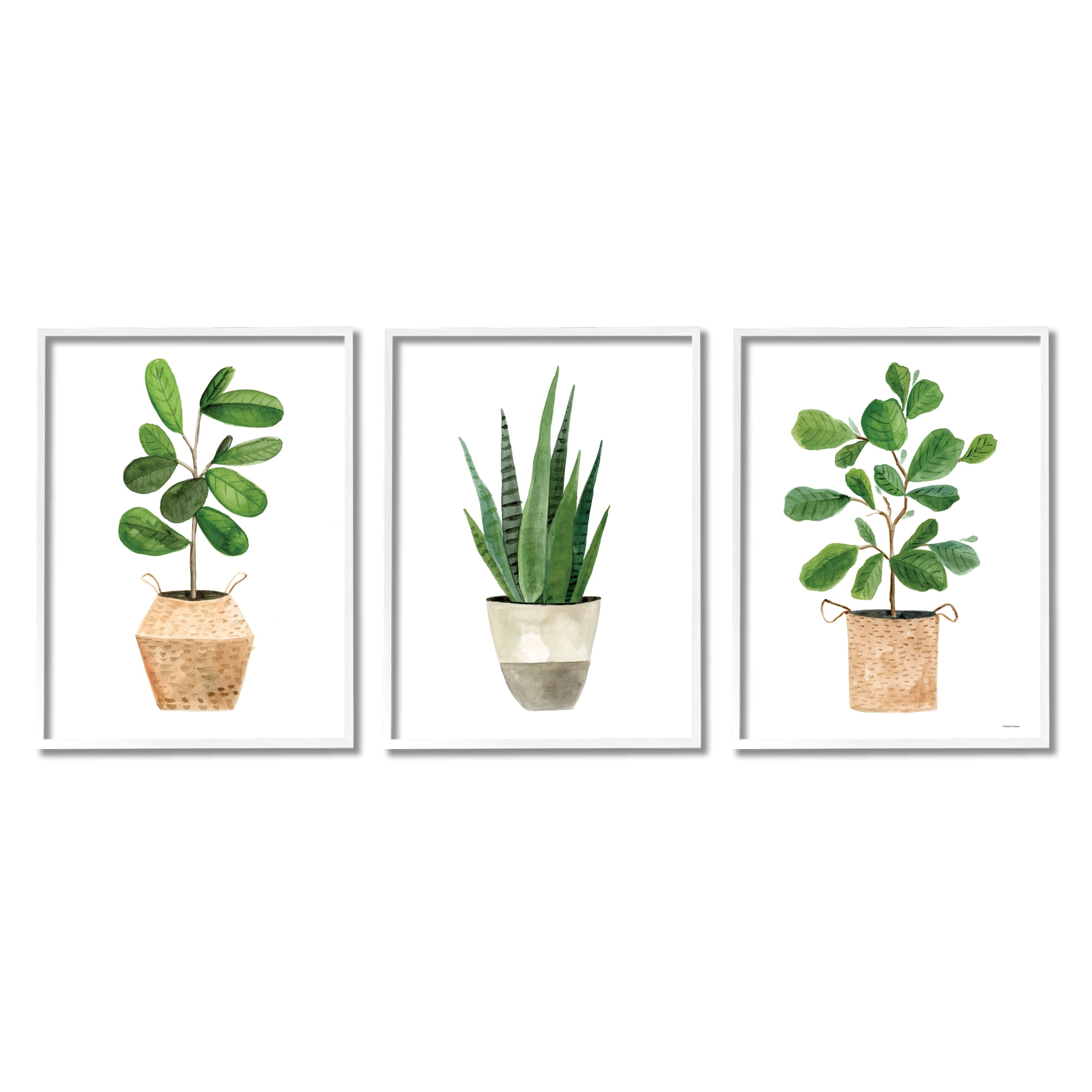 Stupell Minimal Potted Plants Botanicals Botanical & Floral Painting White Framed Art Print Wall Art, Set of 3