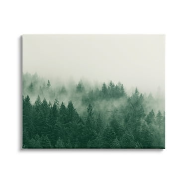 Stupell Misty Trees Woodland Forest Landscape Photography Gallery Wrapped Canvas Print Wall Art