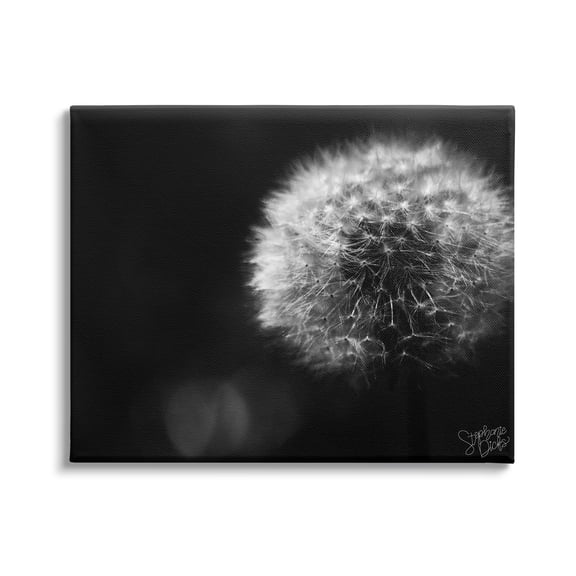 Stupell Modern Black Dandelion Photography Botanical & Floral Photography Gallery Wrapped Canvas Print Wall Art
