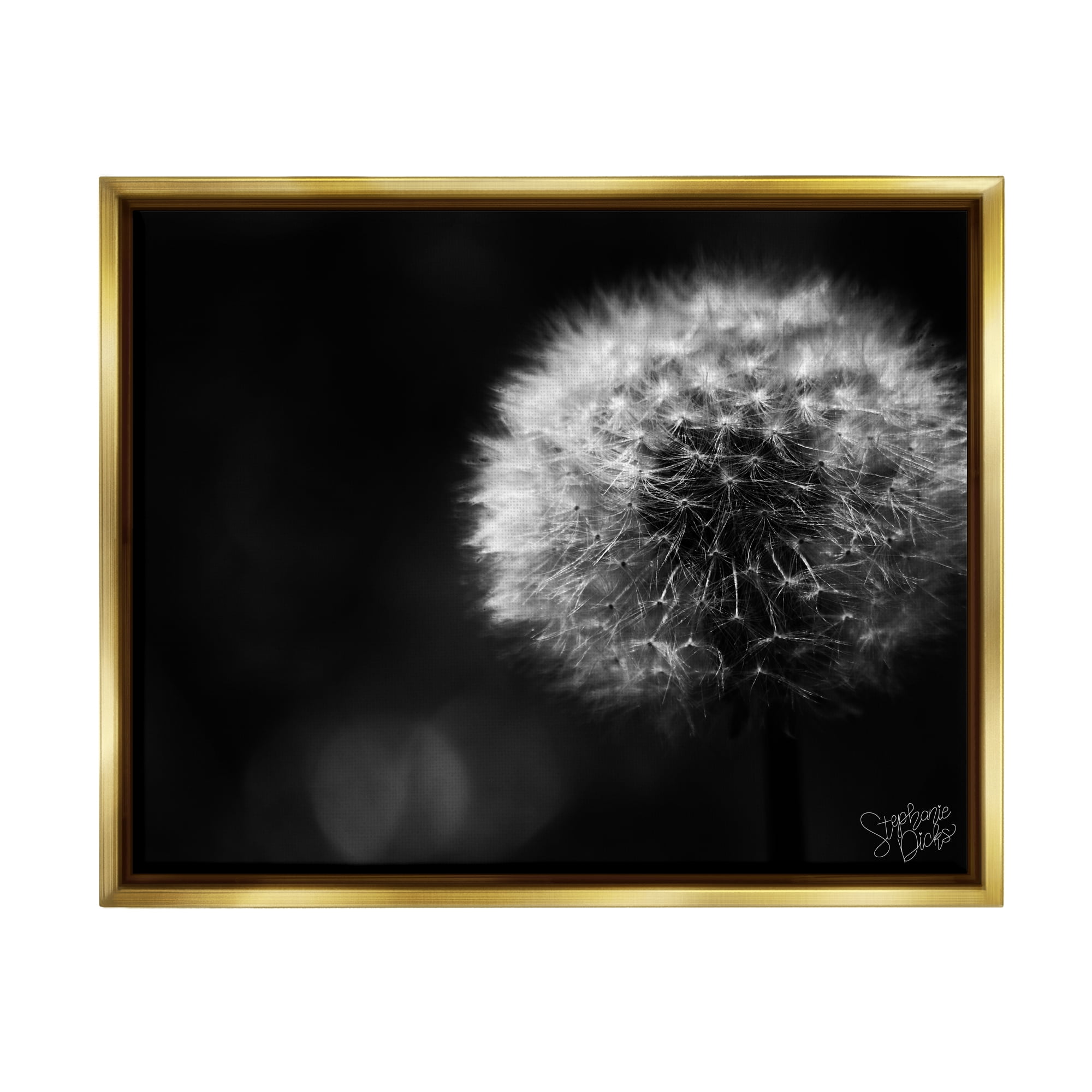 Stupell Modern Black Dandelion Photography Botanical & Floral Photography Gold Floater Framed Art Print Wall Art