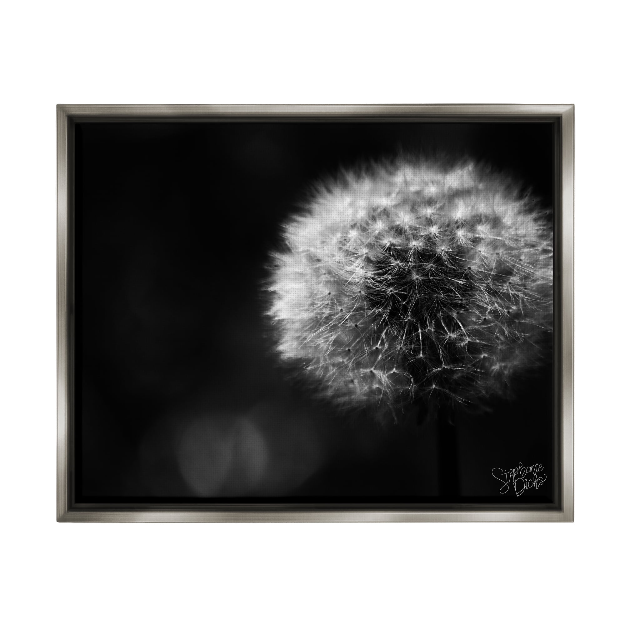 Stupell Modern Black Dandelion Photography Botanical & Floral Photography Gray Floater Framed Art Print Wall Art