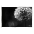 thumbnail image 1 of Stupell Modern Black Dandelion Photography Botanical & Floral Photography Wall Plaque Unframed Art Print Wall Art, 1 of 6