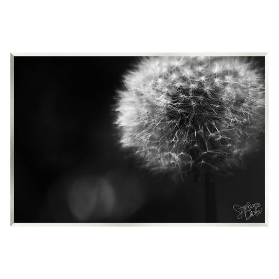 Stupell Modern Black Dandelion Photography Botanical & Floral Photography Wall Plaque Unframed Art Print Wall Art