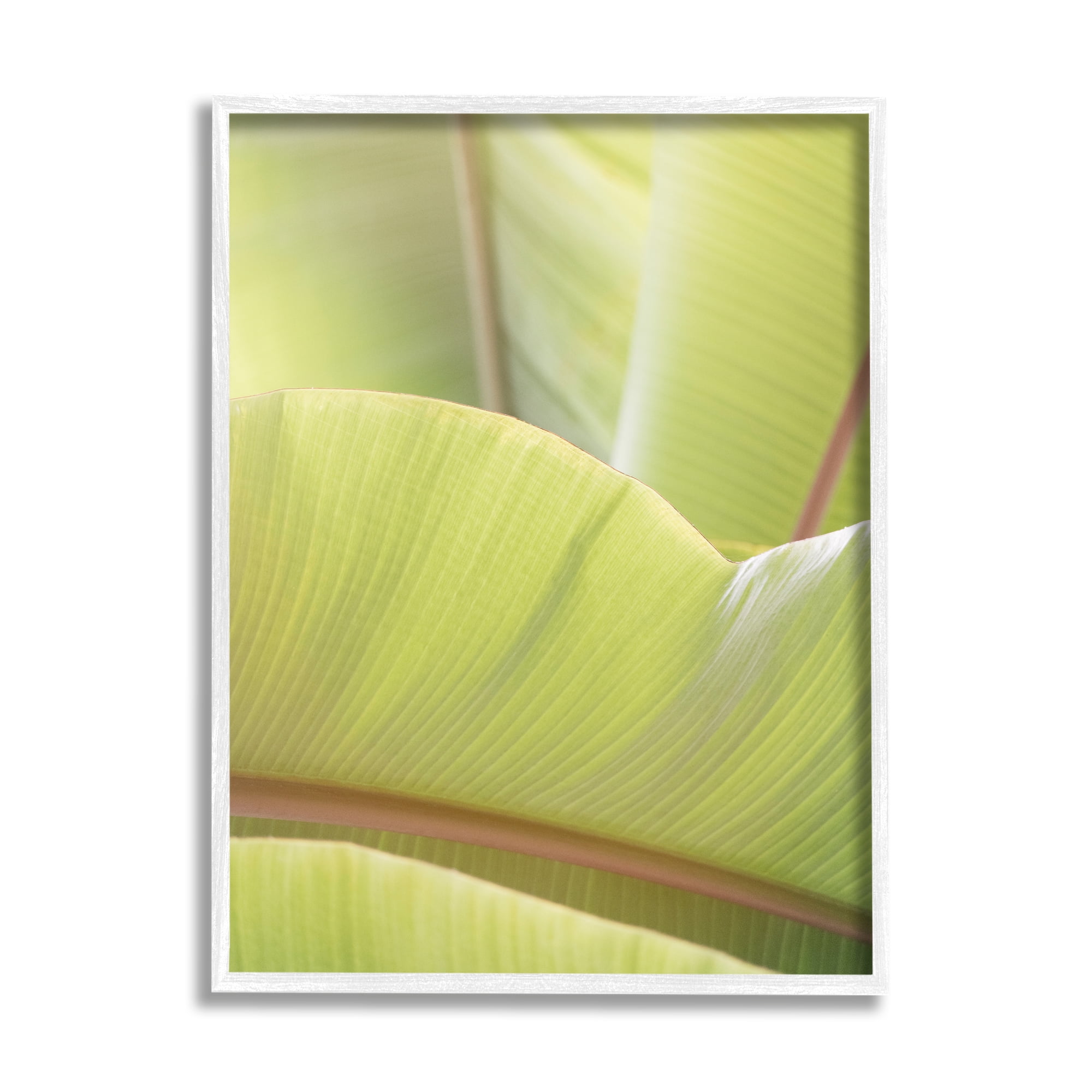 Stupell Modern Botanical Close Up Leaf Botanical & Floral Photography White Framed Art Print Wall Art