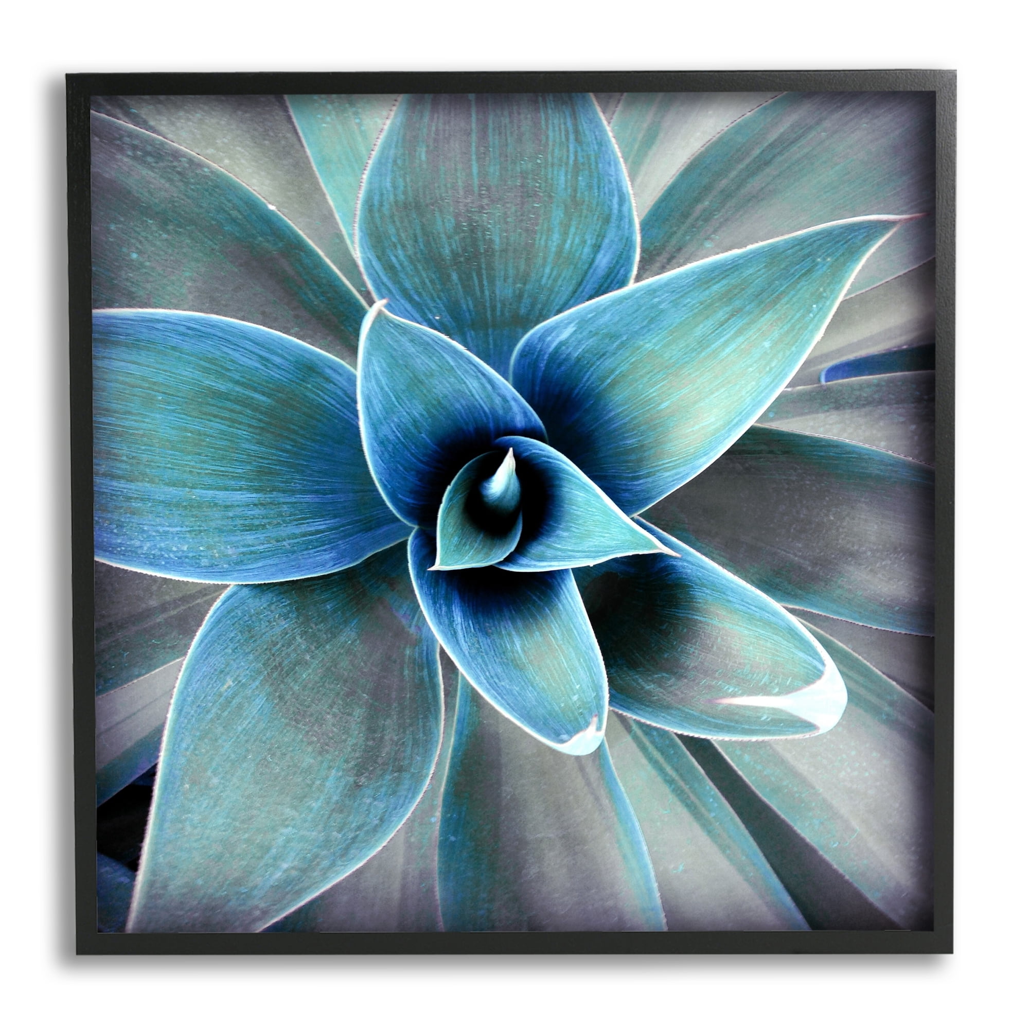 Stupell Modern Close Up Plant Leaves Botanical & Floral Photography Black Framed Art Print Wall Art