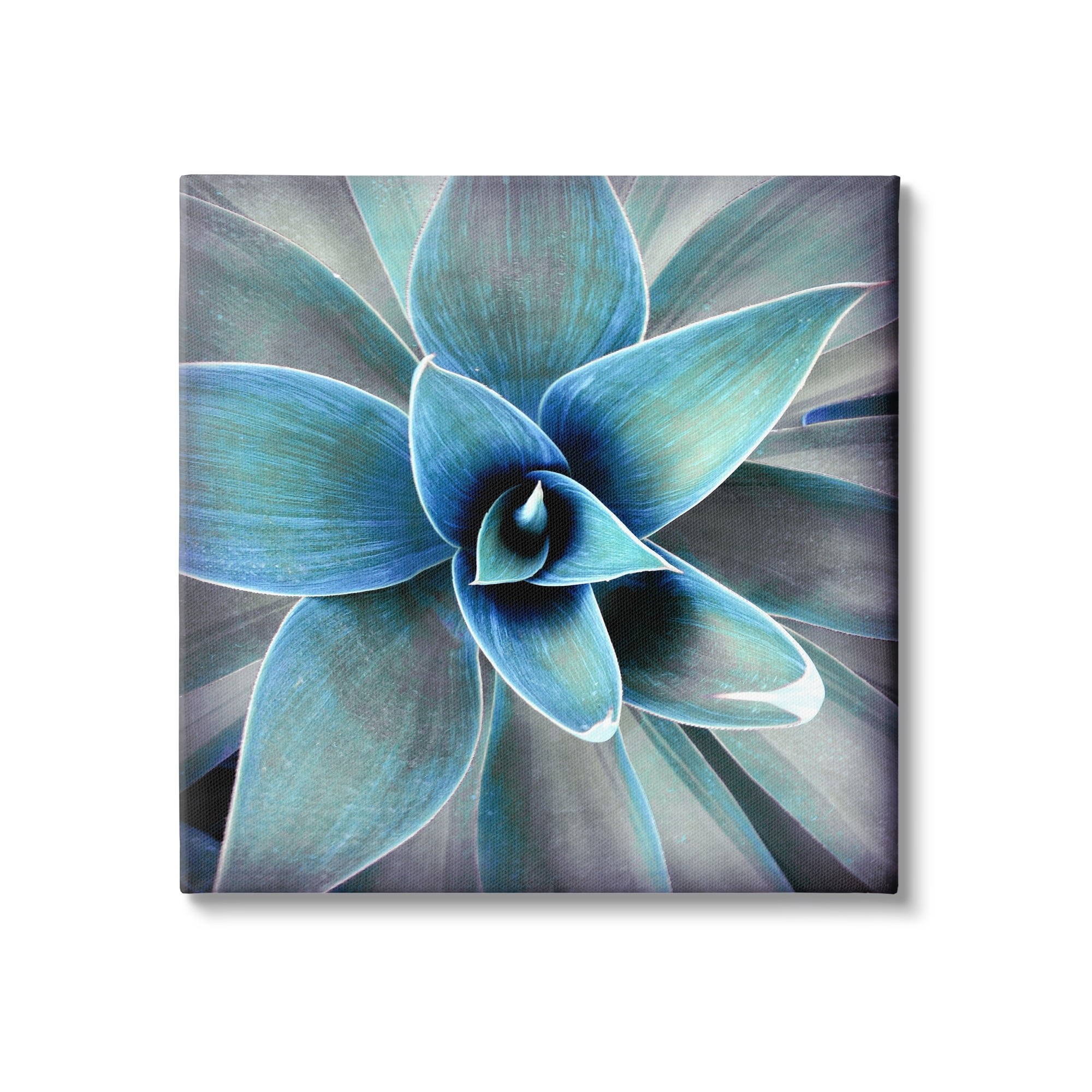 Modern Blue Botanical Plant Canvas Print Wall Art 17 x 17