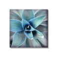 thumbnail image 1 of Stupell Modern Close Up Plant Leaves Botanical & Floral Photography Gallery Wrapped Canvas Print Wall Art, 1 of 7