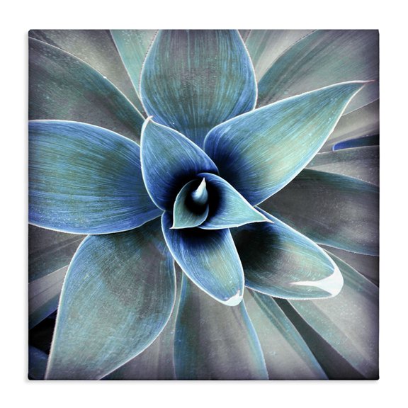 Stupell Industries Modern Modern Close Up Plant Leaves Canvas Art, 24 x 24, by Irena Orlov