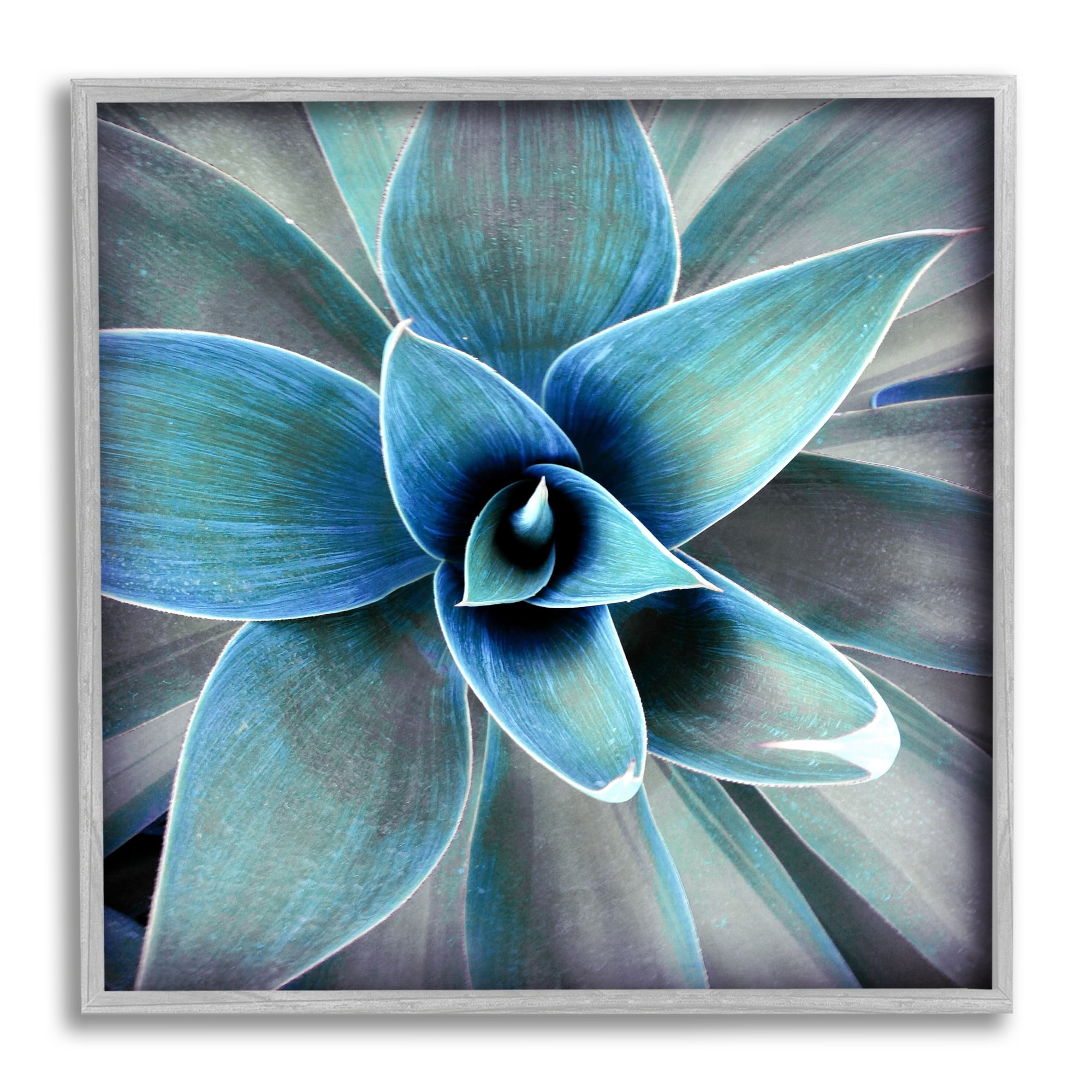 Stupell Modern Close Up Plant Leaves Botanical & Floral Photography Gray Framed Art Print Wall Art
