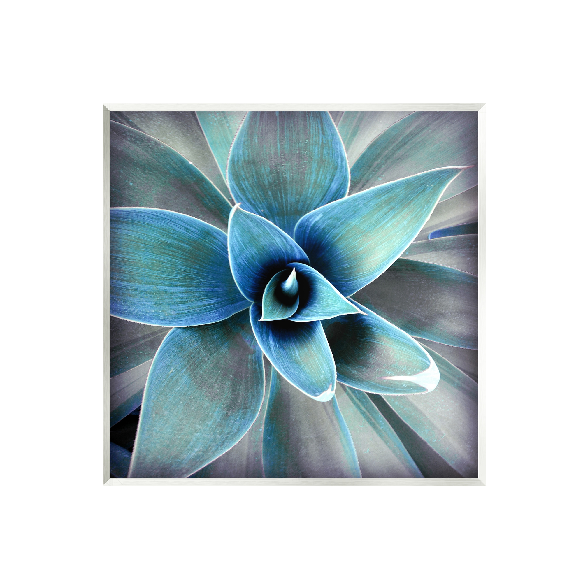 Stupell Modern Close Up Plant Leaves Botanical & Floral Photography Wall Plaque Unframed Art Print Wall Art