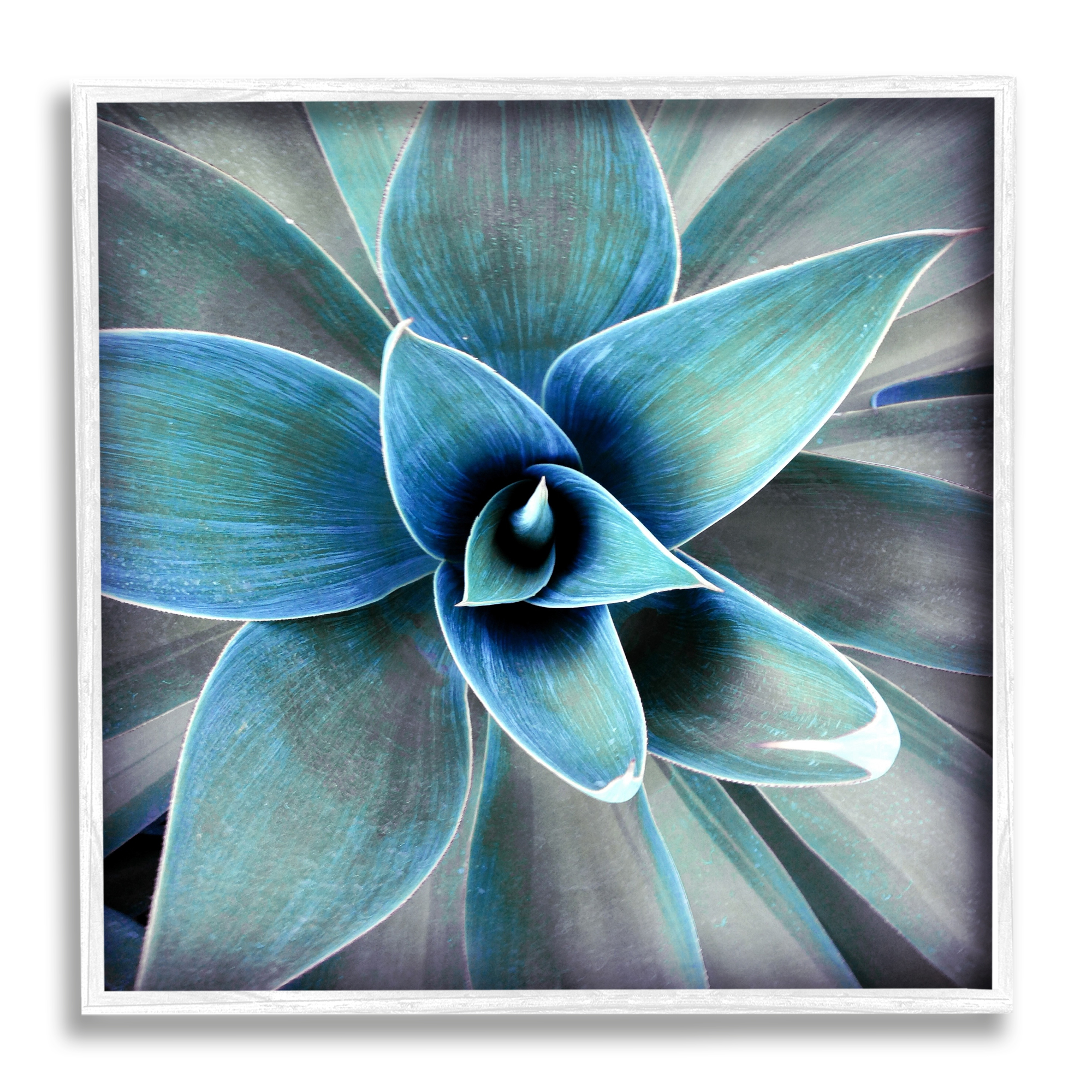 Stupell Modern Close Up Plant Leaves Botanical & Floral Photography White Framed Art Print Wall Art