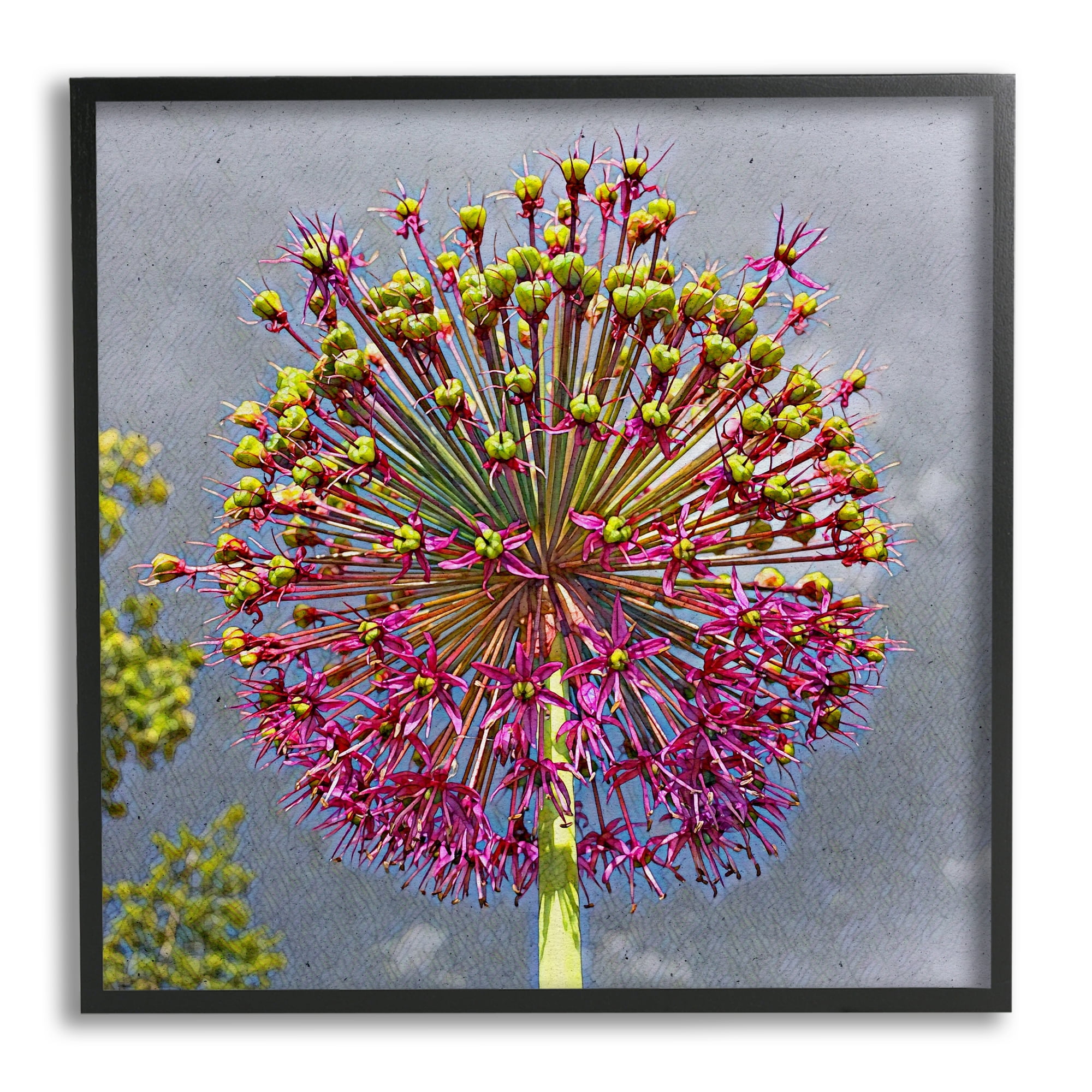 Stupell Modern Dandelion Pink Abstract Botanical & Floral Painting Black Framed Art Print Wall Art