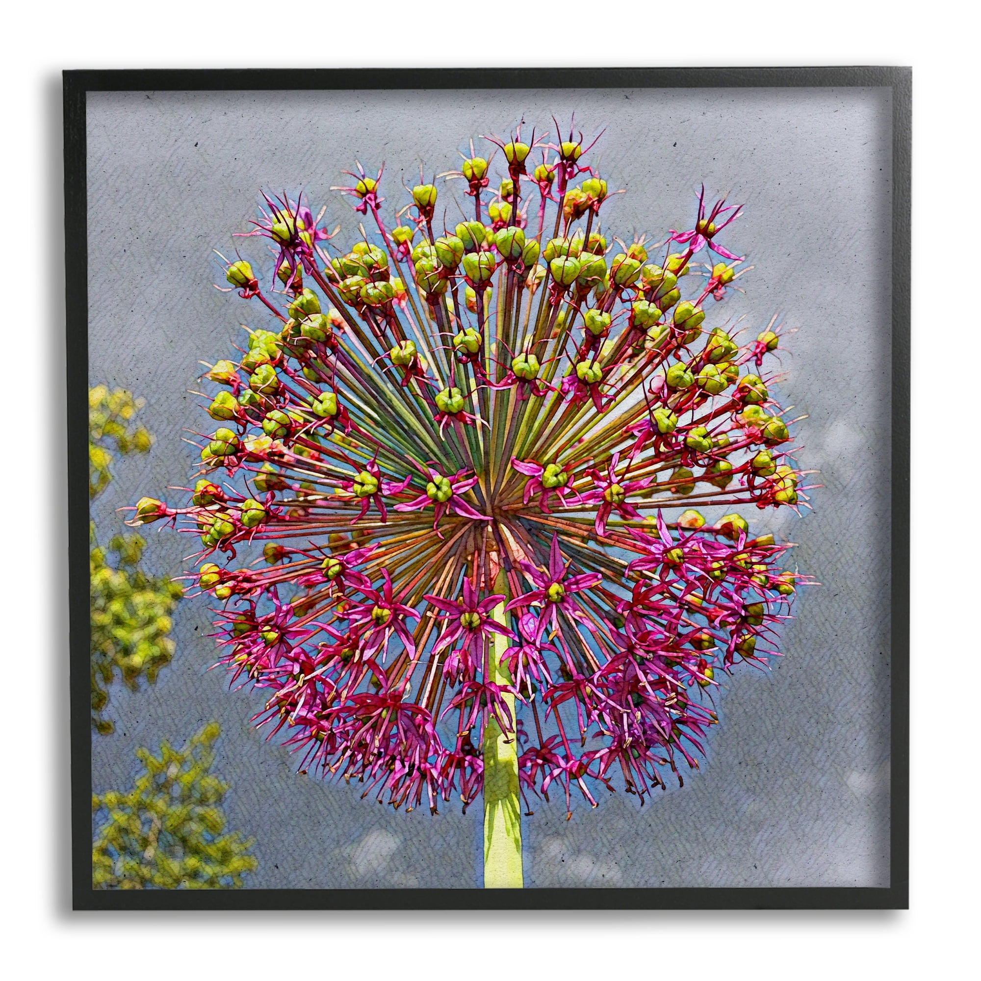 Stupell Modern Dandelion Pink Abstract Botanical & Floral Painting Black Framed Art Print Wall Art