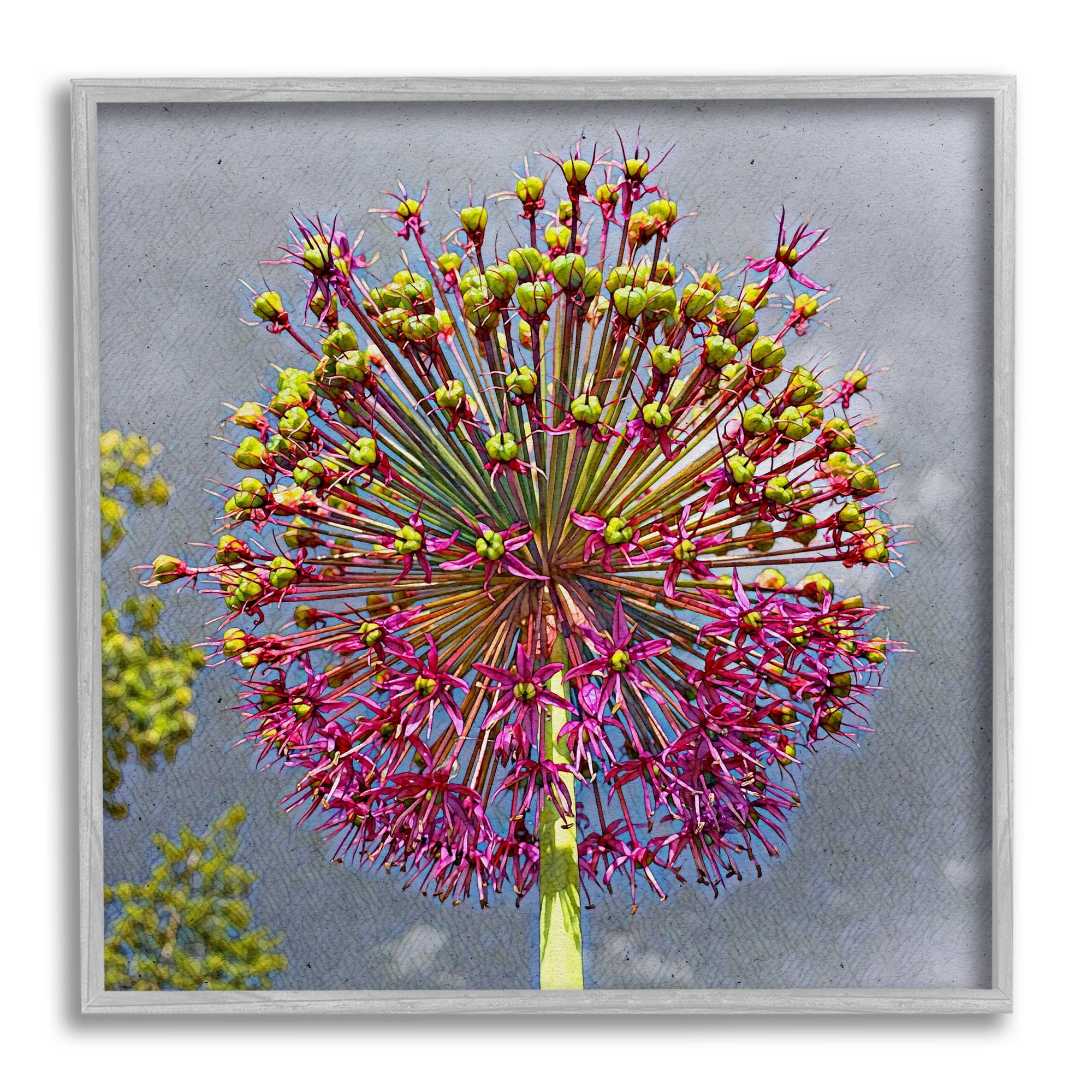 Stupell Modern Dandelion Pink Abstract Botanical & Floral Painting Gray Framed Art Print Wall Art