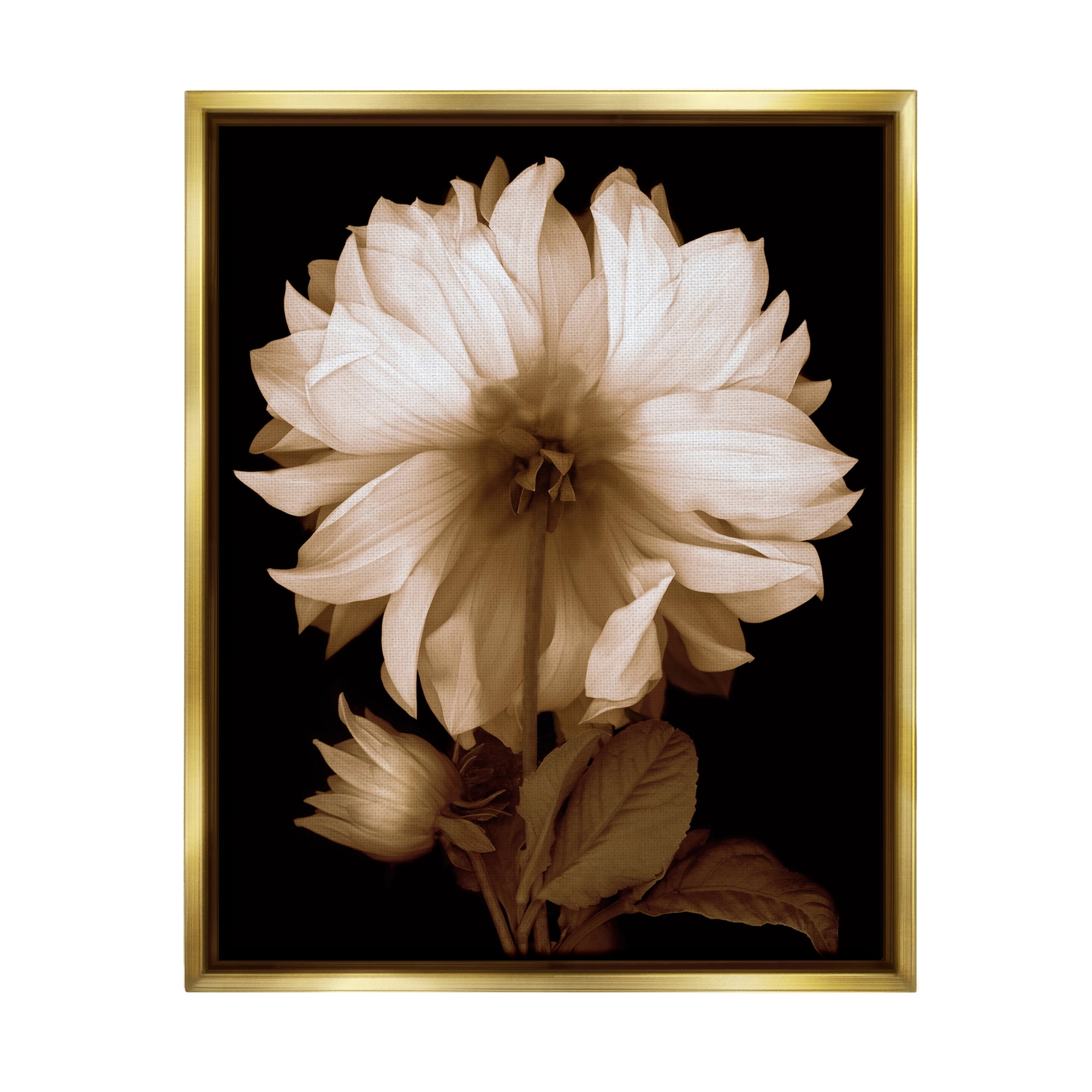 Stupell Modern Sepia Mum Flower Botanical & Floral Photography Gold Floater Framed Art Print Wall Art