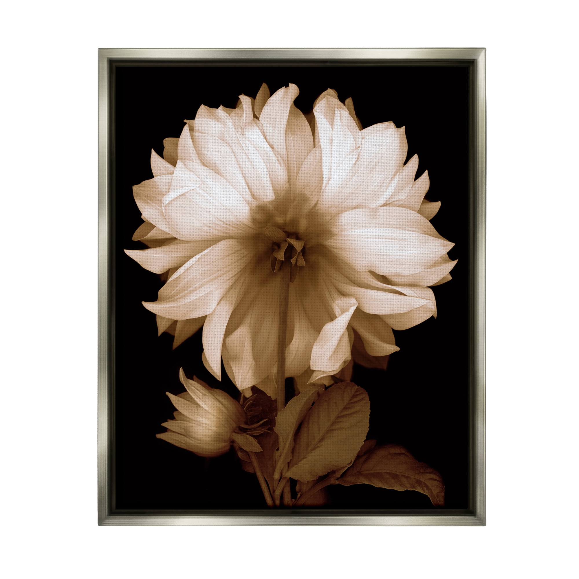 Stupell Modern Sepia Mum Flower Botanical & Floral Photography Gray Floater Framed Art Print Wall Art