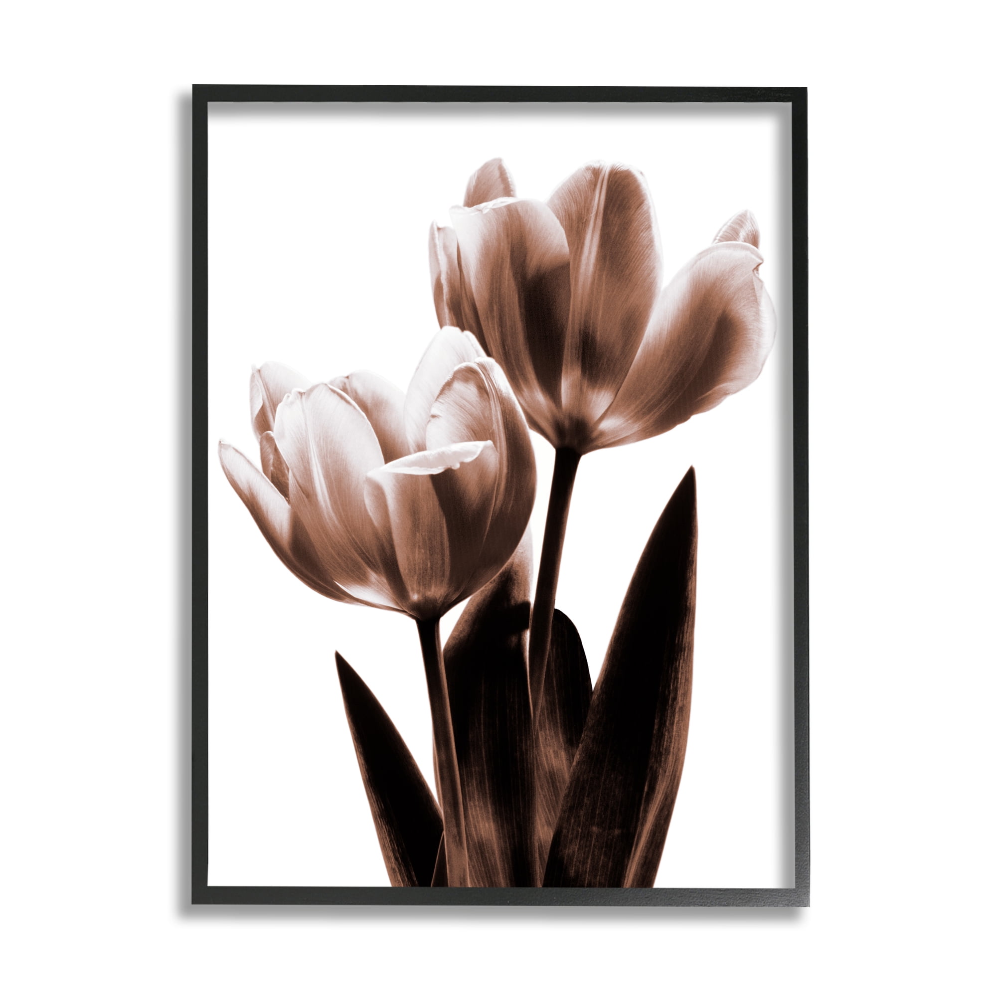 Stupell Modern Tulip Silhouette Duo Botanical & Floral Photography Black Framed Art Print Wall Art