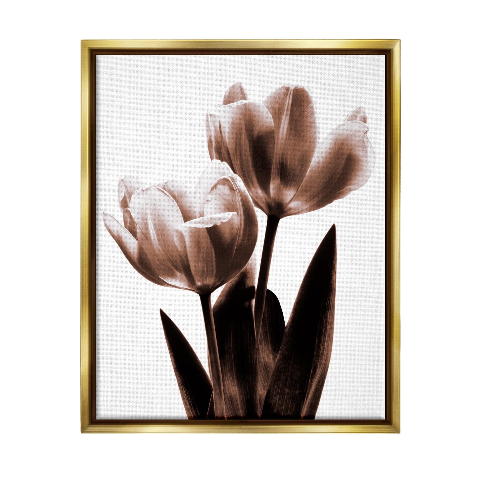 Stupell Modern Tulip Silhouette Duo Botanical & Floral Photography Gold Floater Framed Art Print Wall Art