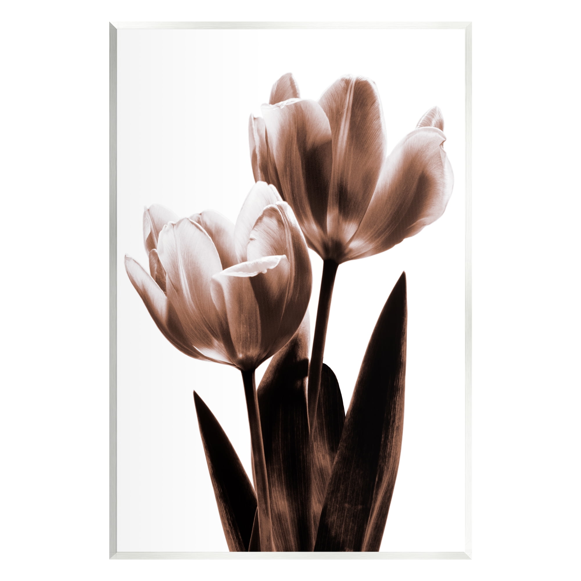 Stupell Modern Tulip Silhouette Duo Botanical & Floral Photography Wall Plaque Unframed Art Print Wall Art
