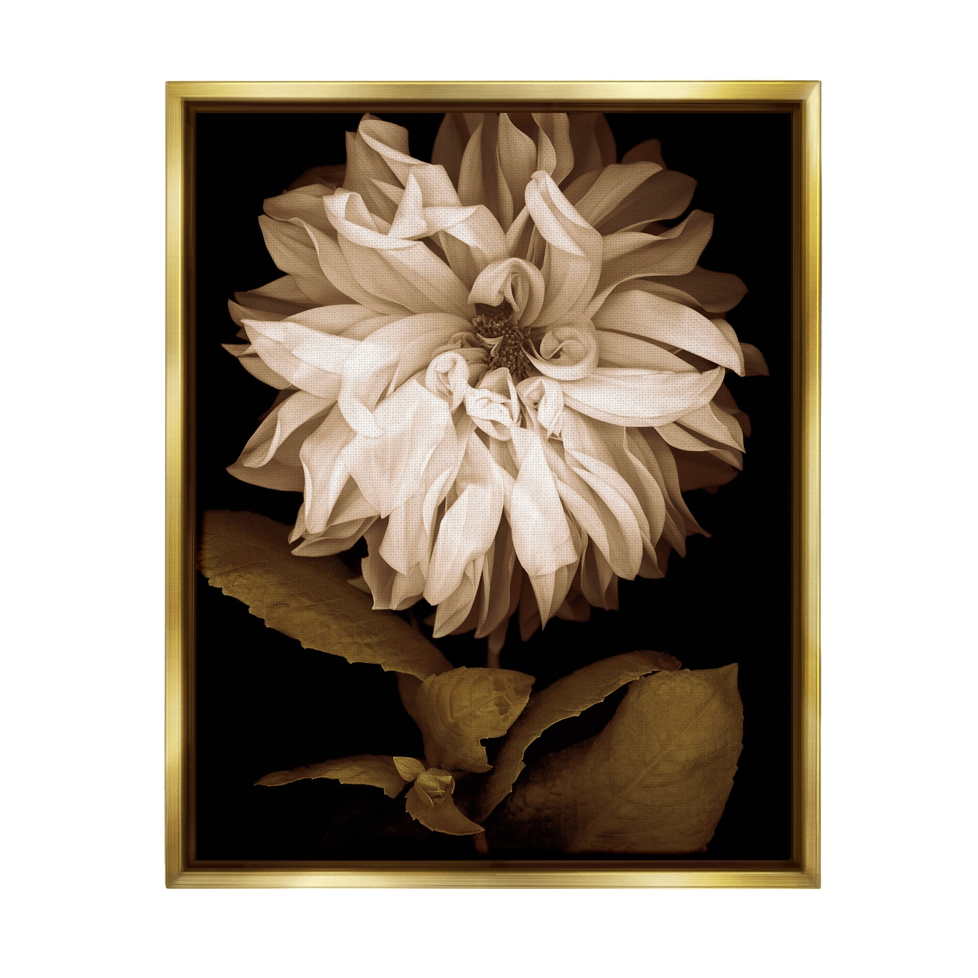 Stupell Modern White Chrysanthemum Petals Botanical & Floral Photography Gold Floater Framed Art Print Wall Art