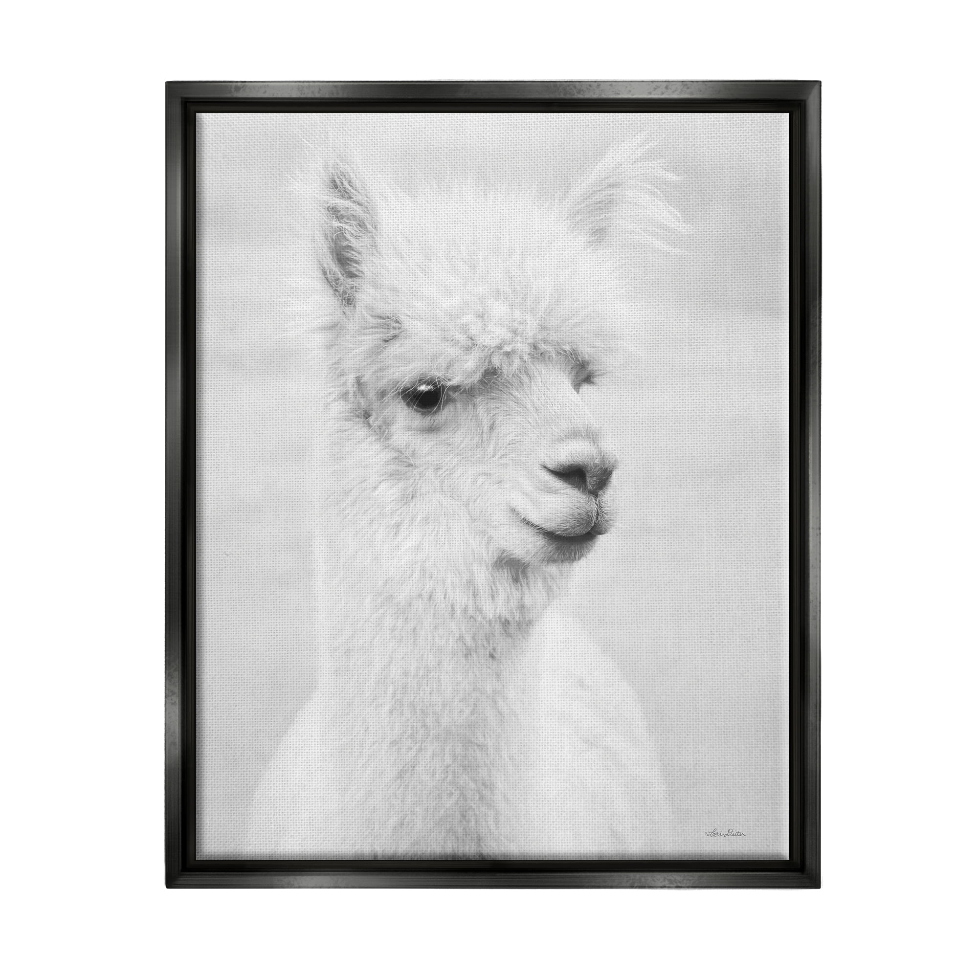 Stupell Monochrome Alpaca Farm Animal Animals & Insects Photography Black Floater Framed Art Print Wall Art