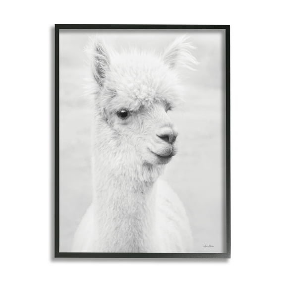 Stupell Monochrome Alpaca Farm Animal Animals & Insects Photography Black Framed Art Print Wall Art